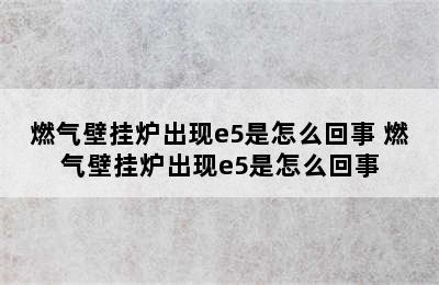 燃气壁挂炉出现e5是怎么回事 燃气壁挂炉出现e5是怎么回事